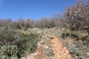 Du GR 51 au GR 4